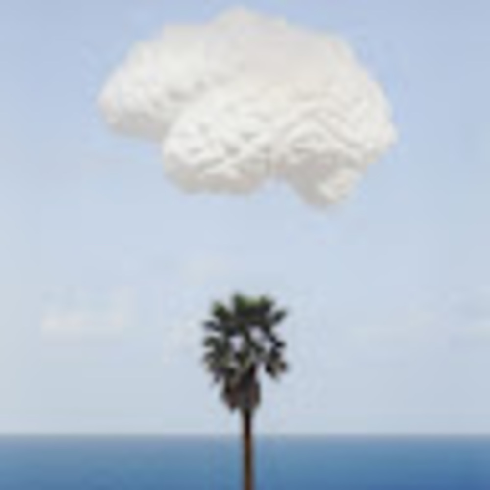 Meet your Posher, Ariel